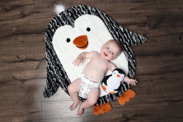 How to Sew the My Pal "Pat the Penguin" Cuddle® Kit