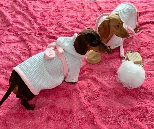 How to Make a Puppy Spa Robe with Cuddle® Minky Fabric